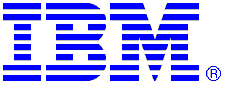 IBM5